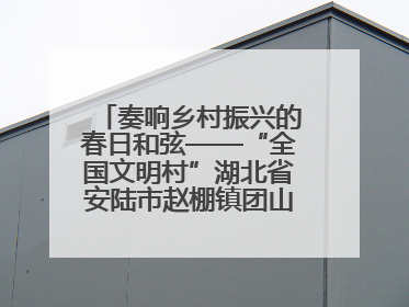 奏响乡村振兴的春日和弦——“全国文明村”湖北省安陆市赵棚镇团山村农文旅融合发展见闻