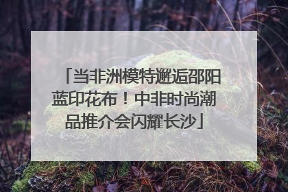 当非洲模特邂逅邵阳蓝印花布！中非时尚潮品推介会闪耀长沙