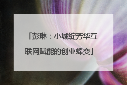 彭琳：小城绽芳华互联网赋能的创业蝶变