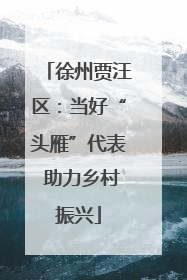徐州贾汪区：当好“头雁”代表 助力乡村振兴