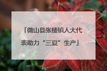 微山县张楼镇人大代表助力“三夏”生产