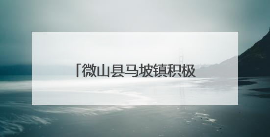 微山县马坡镇积极开展夏收工作 “秸”尽其用助增收
