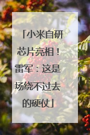 小米自研芯片亮相！雷军：这是场绕不过去的硬仗