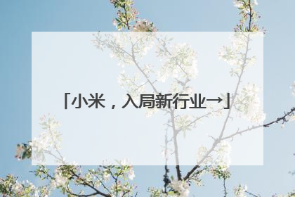 小米，入局新行业→
