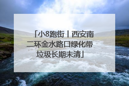 小8跑街丨西安南二环金水路口绿化带垃圾长期未清