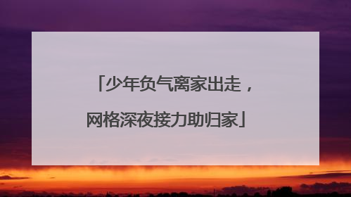 少年负气离家出走，网格深夜接力助归家