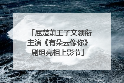 屈楚萧王子文领衔主演《有朵云像你》剧组亮相上影节