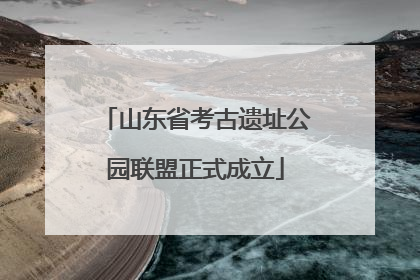 山东省考古遗址公园联盟正式成立