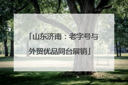 山东济南：老字号与外贸优品同台展销