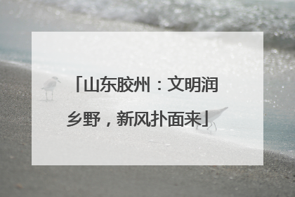 山东胶州：文明润乡野，新风扑面来