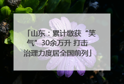 山东：累计缴获“笑气”30余万升 打击治理力度居全国前列