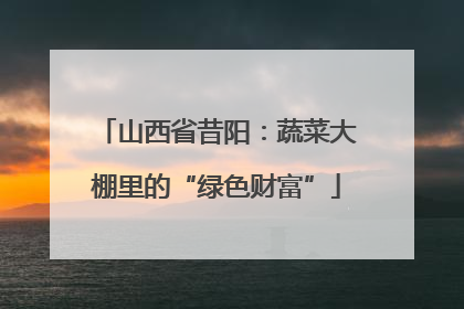 山西省昔阳：蔬菜大棚里的“绿色财富”