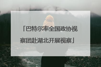 巴特尔率全国政协视察团赴湖北开展视察
