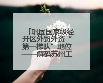 巩固国家级经开区外贸外资“第一梯队”地位——解码苏州工业园区样本