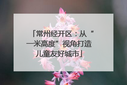 常州经开区：从“一米高度”视角打造儿童友好城市