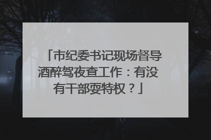 市纪委书记现场督导酒醉驾夜查工作：有没有干部耍特权？