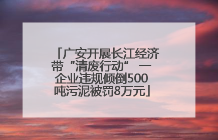 广安开展长江经济带“清废行动” 一企业违规倾倒500吨污泥被罚8万元