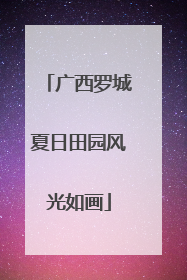 广西罗城夏日田园风光如画