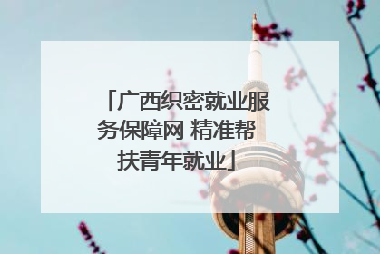 广西织密就业服务保障网 精准帮扶青年就业