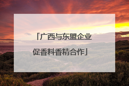 广西与东盟企业促香料香精合作