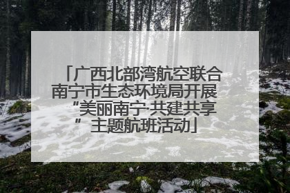 广西北部湾航空联合南宁市生态环境局开展“美丽南宁·共建共享”主题航班活动