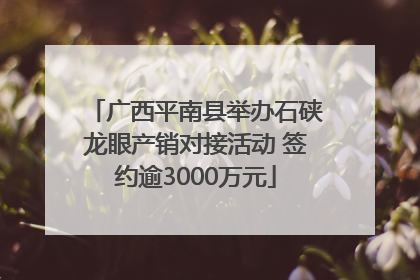 广西平南县举办石硖龙眼产销对接活动 签约逾3000万元