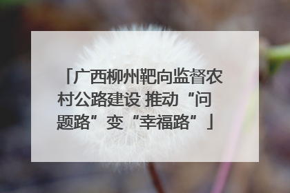 广西柳州靶向监督农村公路建设 推动“问题路”变“幸福路”