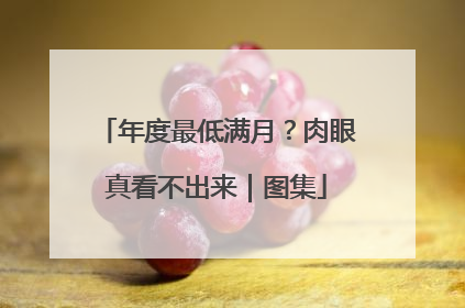 年度最低满月？肉眼真看不出来｜图集