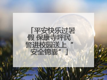平安快乐过暑假 保康寺坪民警进校园送上“安全锦囊”