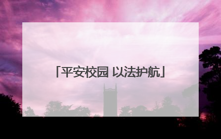 平安校园 以法护航