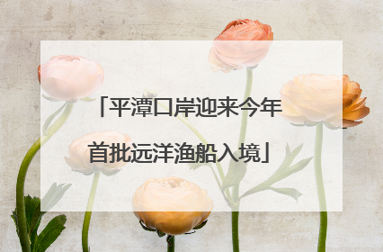 平潭口岸迎来今年首批远洋渔船入境