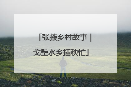 张掖乡村故事｜戈壁水乡插秧忙