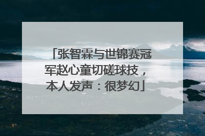 张智霖与世锦赛冠军赵心童切磋球技，本人发声：很梦幻