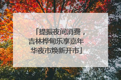 提振夜间消费，吉林桦甸乐享嘉年华夜市焕新开市