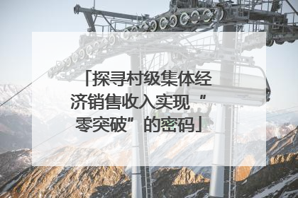 探寻村级集体经济销售收入实现“零突破”的密码