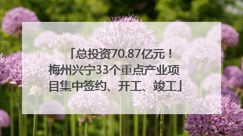 总投资70.87亿元！梅州兴宁33个重点产业项目集中签约、开工、竣工