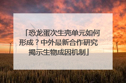 恐龙蛋次生壳单元如何形成？中外最新合作研究揭示生物成因机制