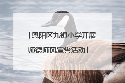 恩阳区九镇小学开展师德师风宣誓活动