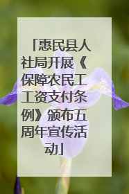 惠民县人社局开展《保障农民工工资支付条例》颁布五周年宣传活动