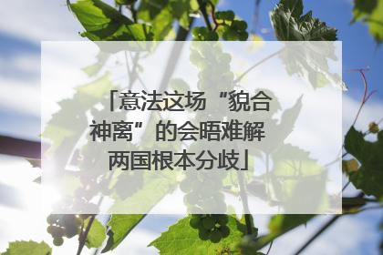 意法这场“貌合神离”的会晤难解两国根本分歧