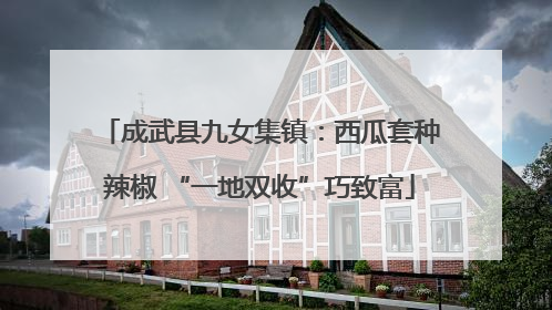成武县九女集镇：西瓜套种辣椒 “一地双收”巧致富