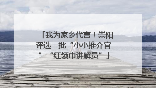 我为家乡代言！崇阳评选一批“小小推介官”“红领巾讲解员”