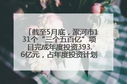 截至5月底，漯河市131个“三个五百亿”项目完成年度投资393.6亿元，占年度投资计划的50.41%——“三个五百亿”项目带动产业提质升级