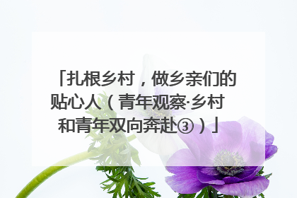 扎根乡村，做乡亲们的贴心人（青年观察·乡村和青年双向奔赴③）