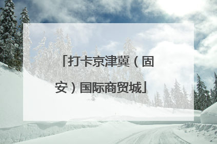 打卡京津冀（固安）国际商贸城
