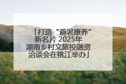 打造“避暑康养”新名片 2025年湖南乡村文旅投融资洽谈会在桃江举办