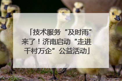 技术服务“及时雨”来了！济南启动“走进千村万企”公益活动