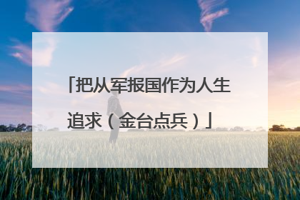 把从军报国作为人生追求（金台点兵）