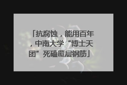抗腐蚀，能用百年，中南大学“博士天团”死磕覆层钢筋