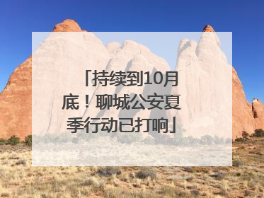 持续到10月底！聊城公安夏季行动已打响